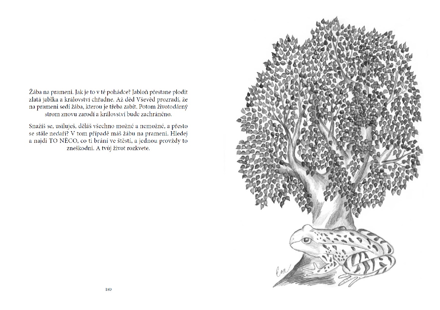 Stromy mluví - Eva Pazderová - Image 7