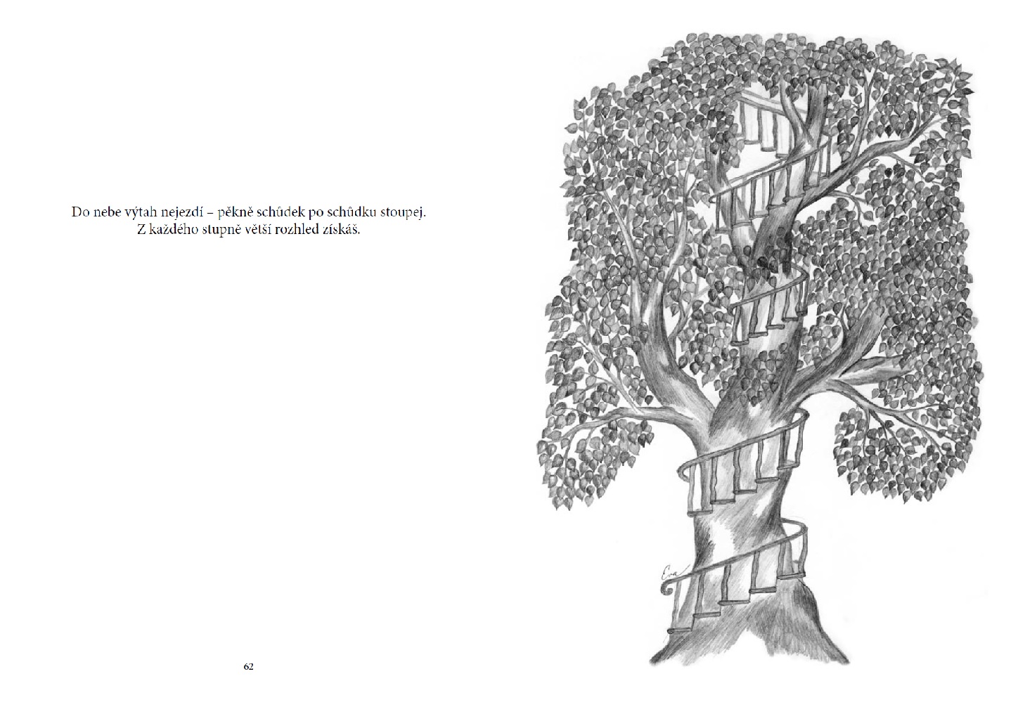 Stromy mluví - Eva Pazderová - Image 6