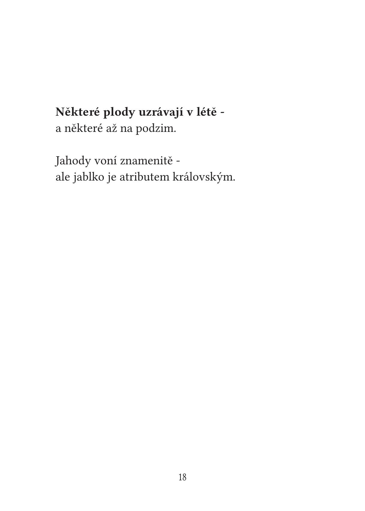 Bytí je troufalé - Nikol Junková - Image 4