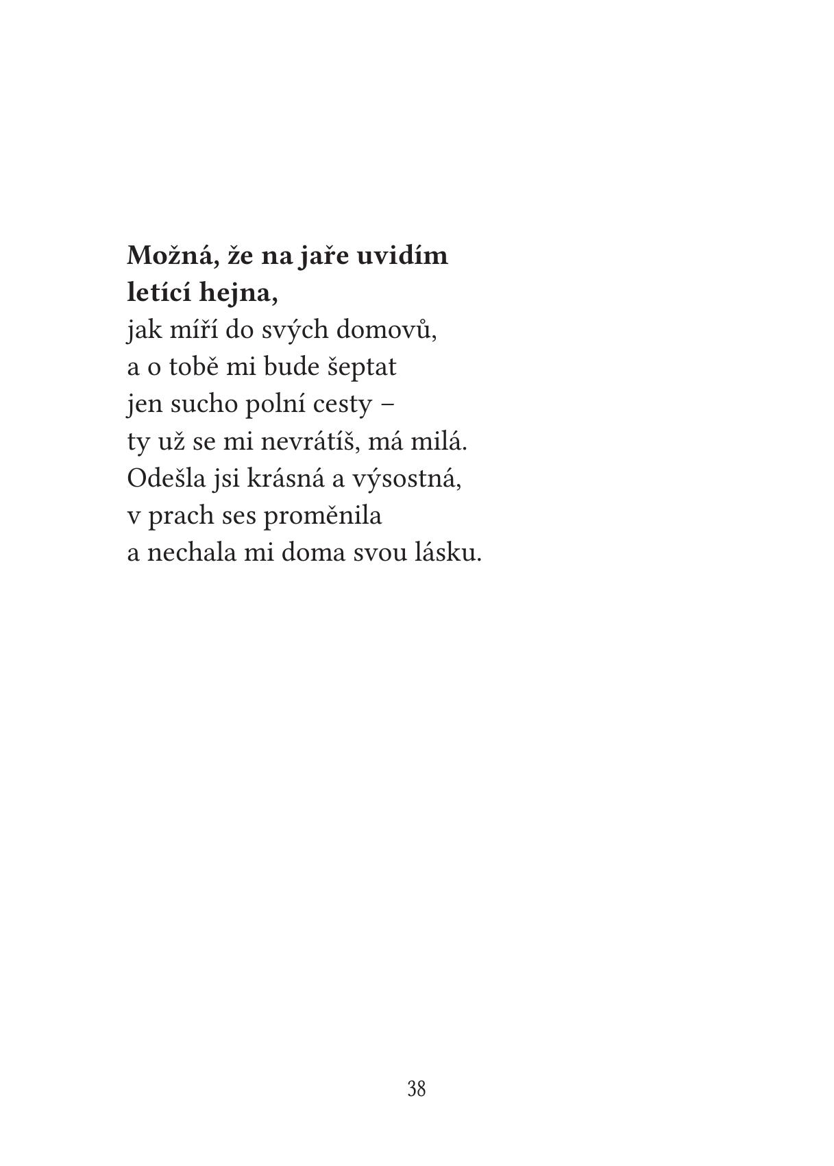 Bytí je troufalé - Nikol Junková - Image 6